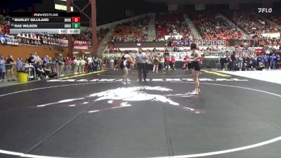 190 lbs Quarterfinal - Rae Wilson, St. George-Rock Creek HS vs Marley Gilliland, Holton Hs