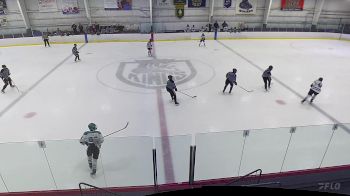 Replay: Home - 2025 NorthStar Elite Green vs Jr. Teddies | Jul 13 @ 11 AM