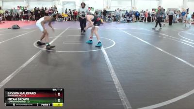 96 lbs Round 3 (10 Team) - Bryson Galofaro, Wrestling Mill vs Micah Brown, Team Diamond Fish