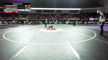 235 lbs Quarterfinal - Caleb Hartung, Apprentice vs James Baldwin, LSU