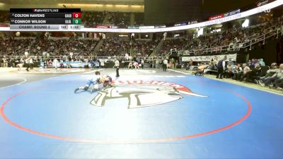 II-160 lbs Champ. Round 2 - Connor Wilson, Our Lady Of Lourdes vs Colton Havens, Canisteo-Greenwood