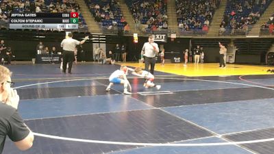 55 lbs Round Of 32 - Jeptha Gates, Connellsville vs Colton Stepanic, Mars