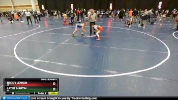 92 lbs Cons. Round 5 - Brody Jensen, NE vs Layne Martin, MI