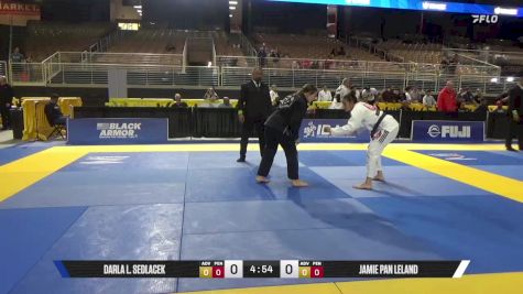 Jamie Pan Leland vs Darla L. Sedlacek 2025 Pan Jiu Jitsu IBJJF Championship