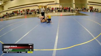 149 lbs Quarterfinal - Conner Roback, Otterbein vs Alex Cruz, Augustana (IL)