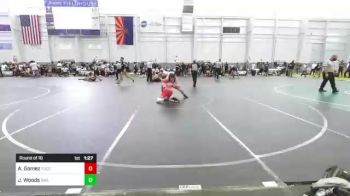 106 lbs Round Of 16 - Andru Gomez, Tucson Cyclones vs Jonathan Woods, Driller WC