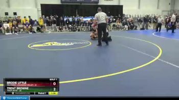 172 lbs Semifinals (4 Team) - Trent Browne, Tioga Sr HS vs Brodie Little, Falconer-Cassadaga Valley