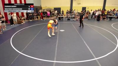 113 lbs Cons. Round 3 - Parker Barry, IL vs Brayden Bergemann, WI