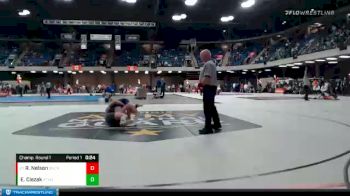 132 lbs Champ. Round 1 - Robert Nelson, Seneca vs Everett Ciezak, Stevenson