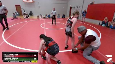 90 lbs Round 2 (3 Team) - Brielle Trang, Spartan Mat Club vs Lillian McHam, Hired Guns Red