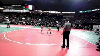 110 lbs Semifinal - Ayden Hudson, BKV1 vs Davide Keirn, PROA