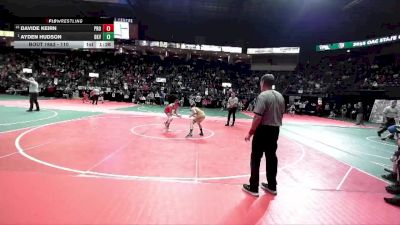 110 lbs Semifinal - Ayden Hudson, BKV1 vs Davide Keirn, PROA