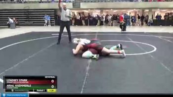 185 lbs Semifinal - Arial Haemmerle, Winneconne vs Lyndsey Stark, Spring Valley/Elmwood