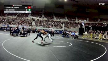 132-D1 1st Place Match - Aaron Callirgos, Desert Ridge High School vs Che Jenkins, Sunnyside High School
