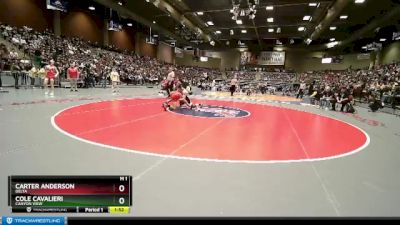 Cons. Semi - Carter Anderson, Delta vs Cole Cavalieri, Canyon View