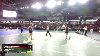220 lbs Quarterfinal - David Foremaster, Rocky Mountain vs Cash Weeks, Middleton