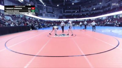 126 lbs Champ. Round 1 - Bradley Jamieson, Skyview vs Decklyn Reece, Vallivue