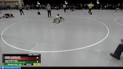 119 lbs Cons. Round 2 - Aiden Hanshaw, Beatrice Wrestling Club vs Tripton Stec, Nebraska Elite Wrestling Club