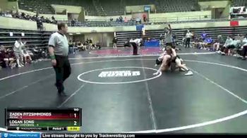 160 lbs Semis & 1st Wrestleback (8 Team) - Zaden Fitzsimmonds, Anoka vs Logan Song, Ankeny Centennial