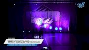 Fierce Factory Dance & Talent - Destiny Allstars Youth Lyrical [2023 Youth - Contemporary/Lyrical - Small Day 2] 2023 ACP Power Dance Grand Nationals