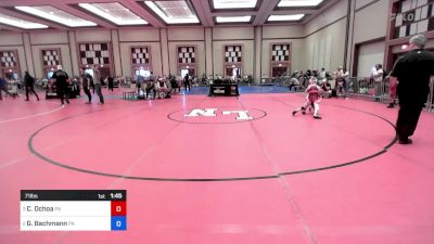 71 lbs Semifinal - Cruz Ochoa, Pa vs Greggy Bachmann, Pa