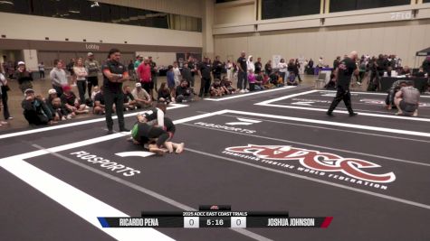 Joshua Johnson vs Ricardo Pena 2025 ADCC East Coast Trials