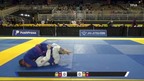 Eric Ruben Gilman vs Lance Allen Vericker 2025 Pan Jiu Jitsu IBJJF Championship