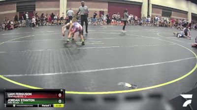 60 lbs Round 2 (4 Team) - Liam Ferguson, Team Palmetto vs Jordan Stanton, ARES Black