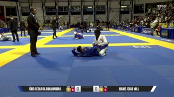 Lianis Josue Yulu vs Júlio César Da Silva Dantas 2026 World Jiu-Jitsu IBJJF Championship