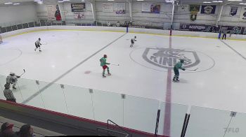 Replay: Home - 2025 Universal Prospect White vs Bloom Hockey | May 11 @ 1 PM