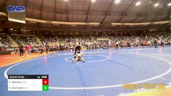 46 lbs Quarterfinal - Christopher Moreno, Hawkeye WC vs Hudson Sorensen, MN Elite