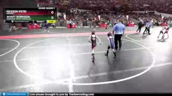 51 lbs Champ. Round 1 - Nickson Petri, Ringers vs Wyatt Robinson, Parkview Youth Wrestling