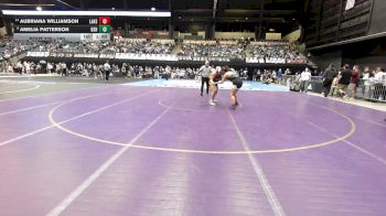 190 lbs Cons. Round 3 - Aubriana Williamson, Lansing HS vs Amelia Patterson, Bonner Springs HS