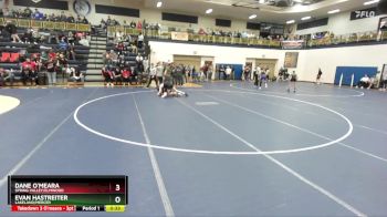 113 lbs Cons. Round 2 - Dane O`meara, Spring Valley/Elmwood vs Evan Hastreiter, Lakeland/Mercer