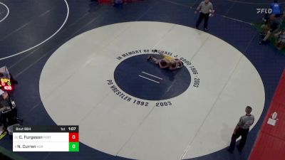 110 lbs Round Of 16 - Collin Furgeson, Port Allegany vs Noah Curren, Norwin