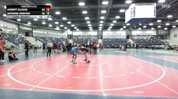 157 lbs Cons. Round 2 - Antwane Webster, Lindsey Wilson (Ky.) vs Averett Ellison, Brewton-Parker (GA)