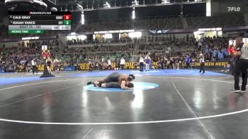 285 lbs Champ. Round 1 - Isaiah Vance, Pitt-Johnstown vs Cale Gray, UIndy