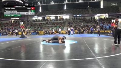 285 lbs Champ. Round 1 - Isaiah Vance, Pitt-Johnstown vs Cale Gray, UIndy