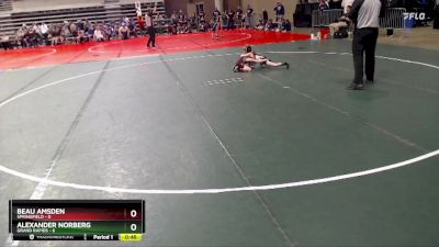 50 lbs Quarterfinals (8 Team) - Beau Amsden, Springfield vs Alexander Norberg, Grand Rapids