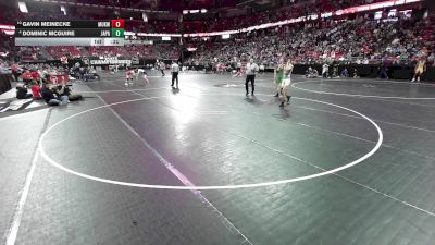 126 lbs Cons. Semis - Dominic McGuire, Janesville Parker vs Gavin Meinecke, Mukwonago