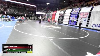 113 Class 2 lbs Cons. Round 2 - Gavin Lippelman, Moberly vs Cody Mcclure, Osage