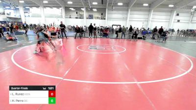 100 lbs Quarterfinal - Lily Runez, Keene NH vs Hannah Perro, Die-Hard