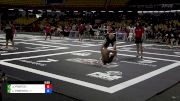 JEFFERSON PONTES vs LUAN PIMENTEL 2024 ADCC South American Trials 1
