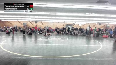 120 lbs Quarterfinal - Angel Williams-Green, Blakeslee vs Ethan Palski, Williamsport