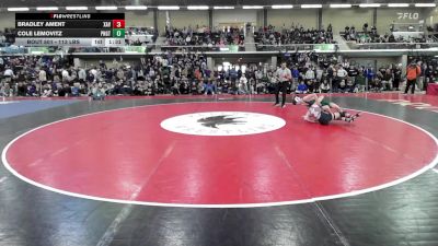 113 lbs Semifinal - Bradley Ament, Xavier vs Cole Lemovitz, Ponaganset