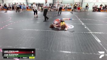 90 lbs Round 1 (6 Team) - Jake Strickland, Team Palmetto vs Case Gustafson, Florida Scorpions