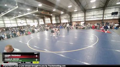 125 lbs Quarterfinal - Markus McCoy, Champions Wrestling Club vs Asher Troendle, Uintah