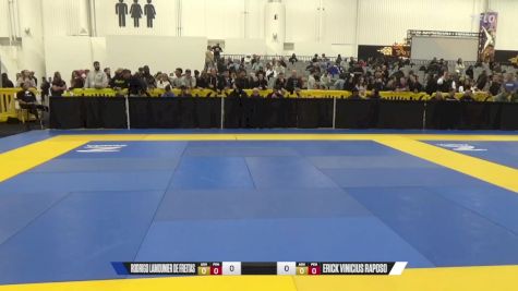 Erick Vinicius Raposo vs Rodrigo Lamounier De Freitas 2024 World IBJJF Jiu-Jitsu No-Gi Championship