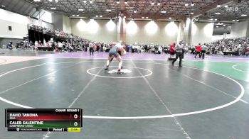 215B Champ. Round 1 - David Tanona, Nixa vs Caleb Salentine, Luxemburg-Casco