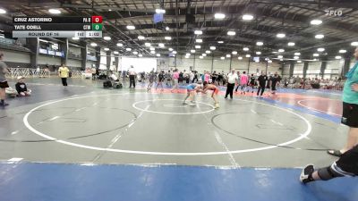 75 lbs Round Of 16 - Cruz Astorino, PA Revival - MS vs Tate ODell, IRONWHALE - MS